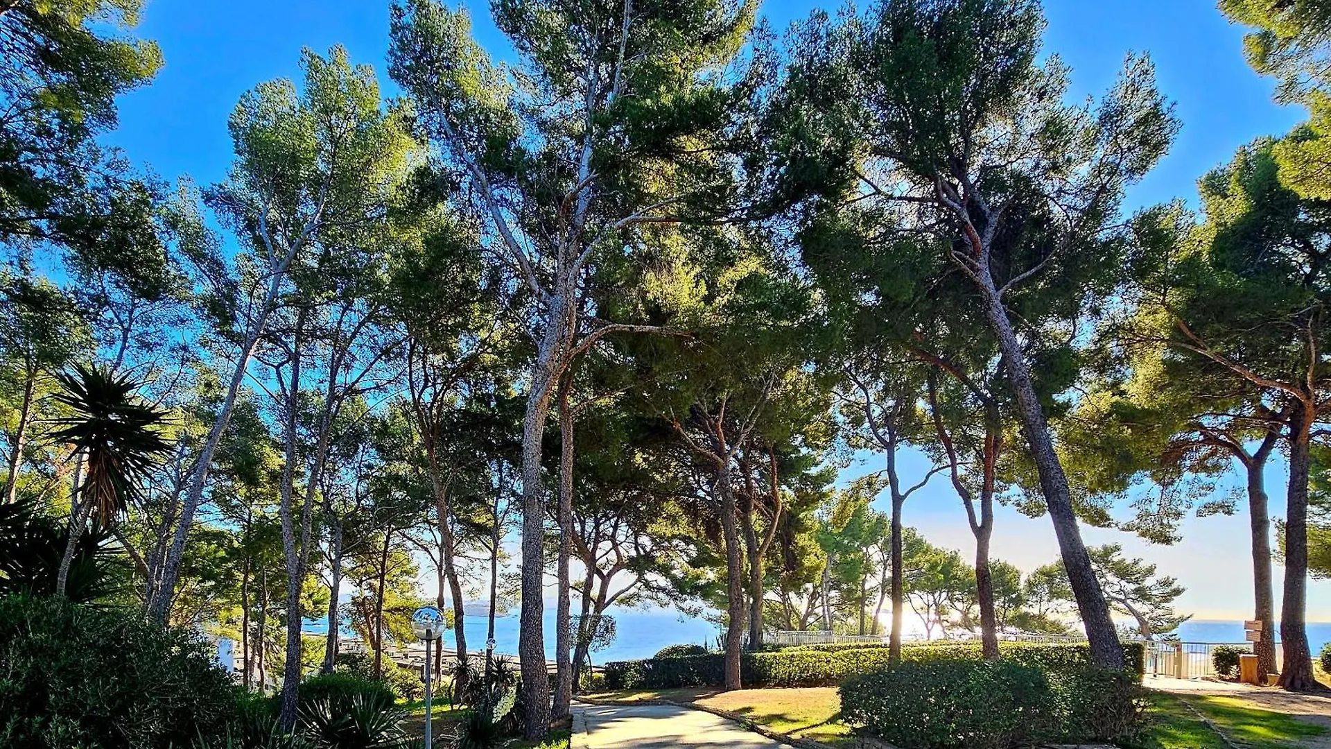 Apartment Superbe Appartement Vue Mer - Plage, Piscine Et Tennis Prive Bandol